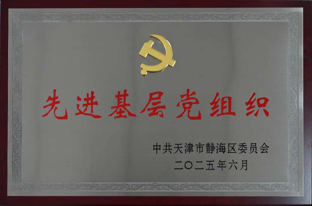 友发集团党委荣获“静海区先进基层党组织”荣誉称号