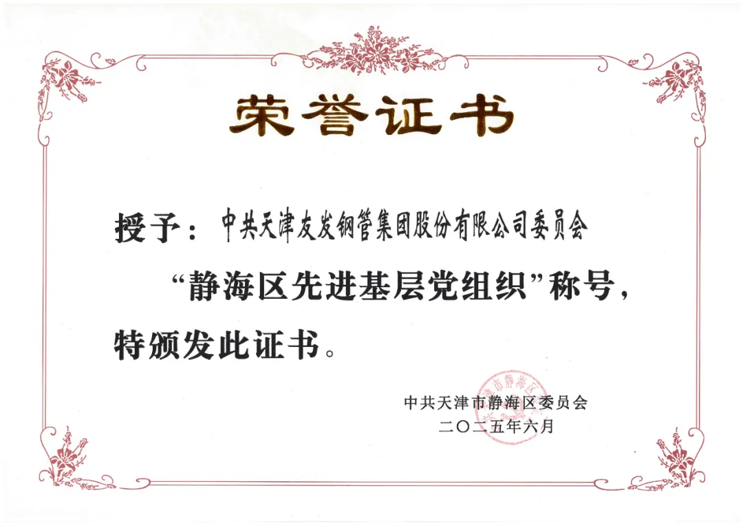 友发集团党委荣获“静海区先进基层党组织”荣誉称号